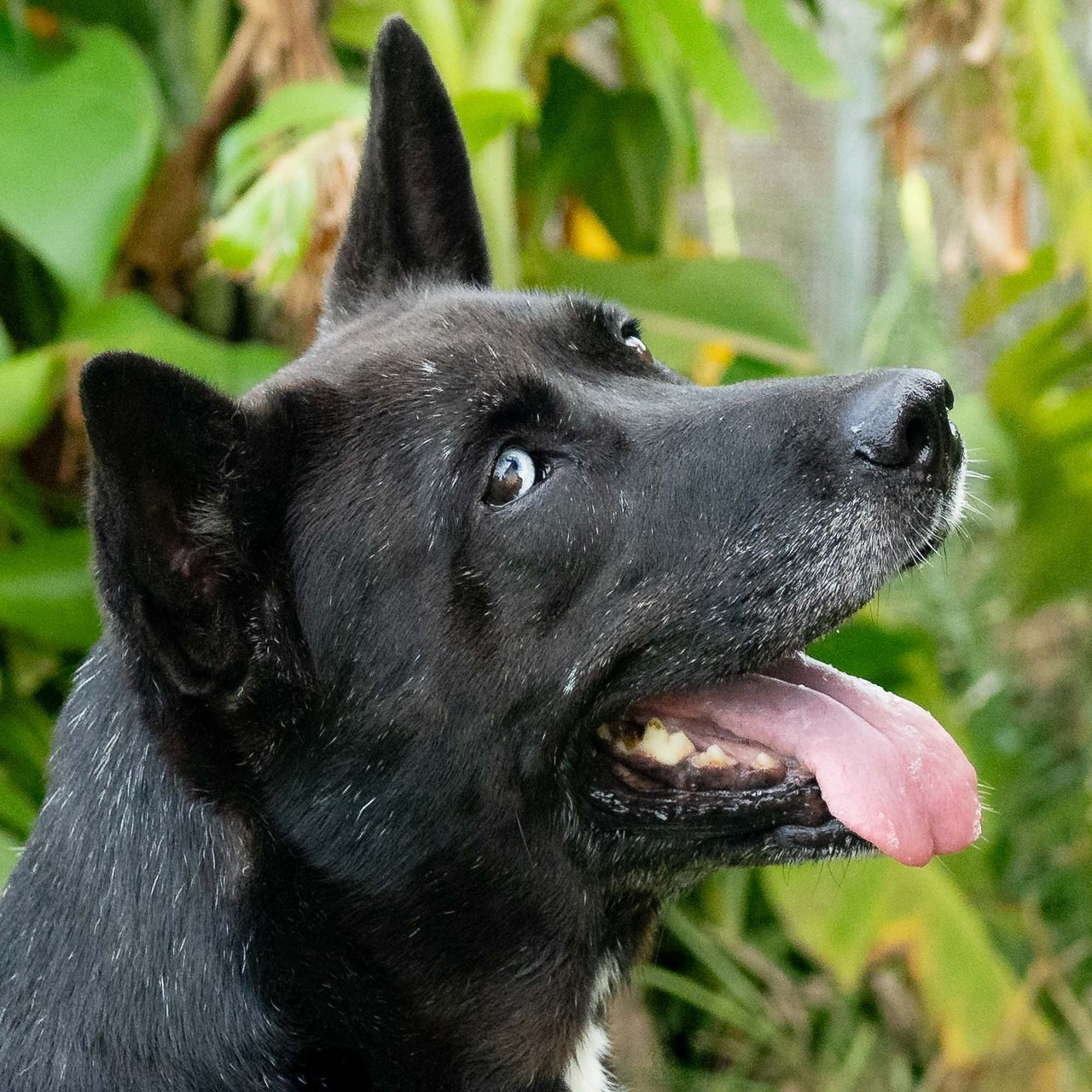 Reviews. Photographer Irina Kozhemyakina. Houston