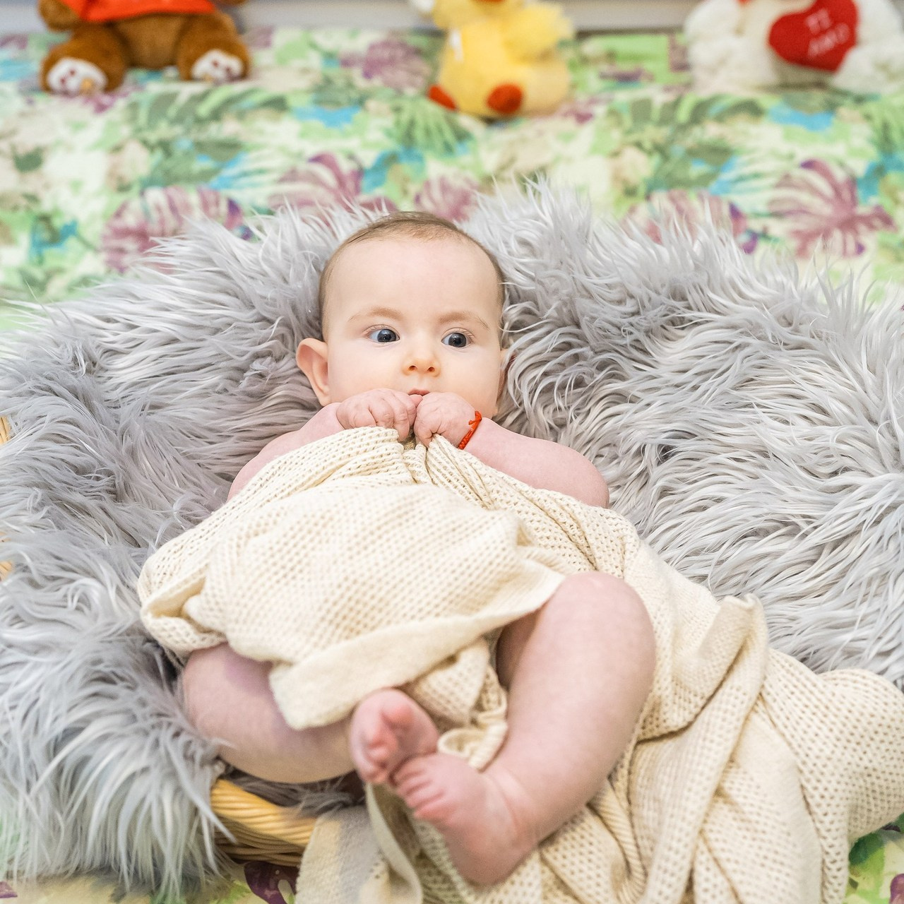 Testimonianze. Fotograf Profesionist si Videomaker