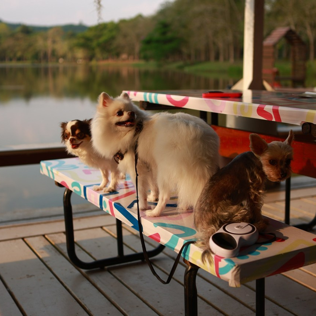 Отзывы. Татьяна Бондаренко фотограф (индивидуальные, семейные, лавстори)