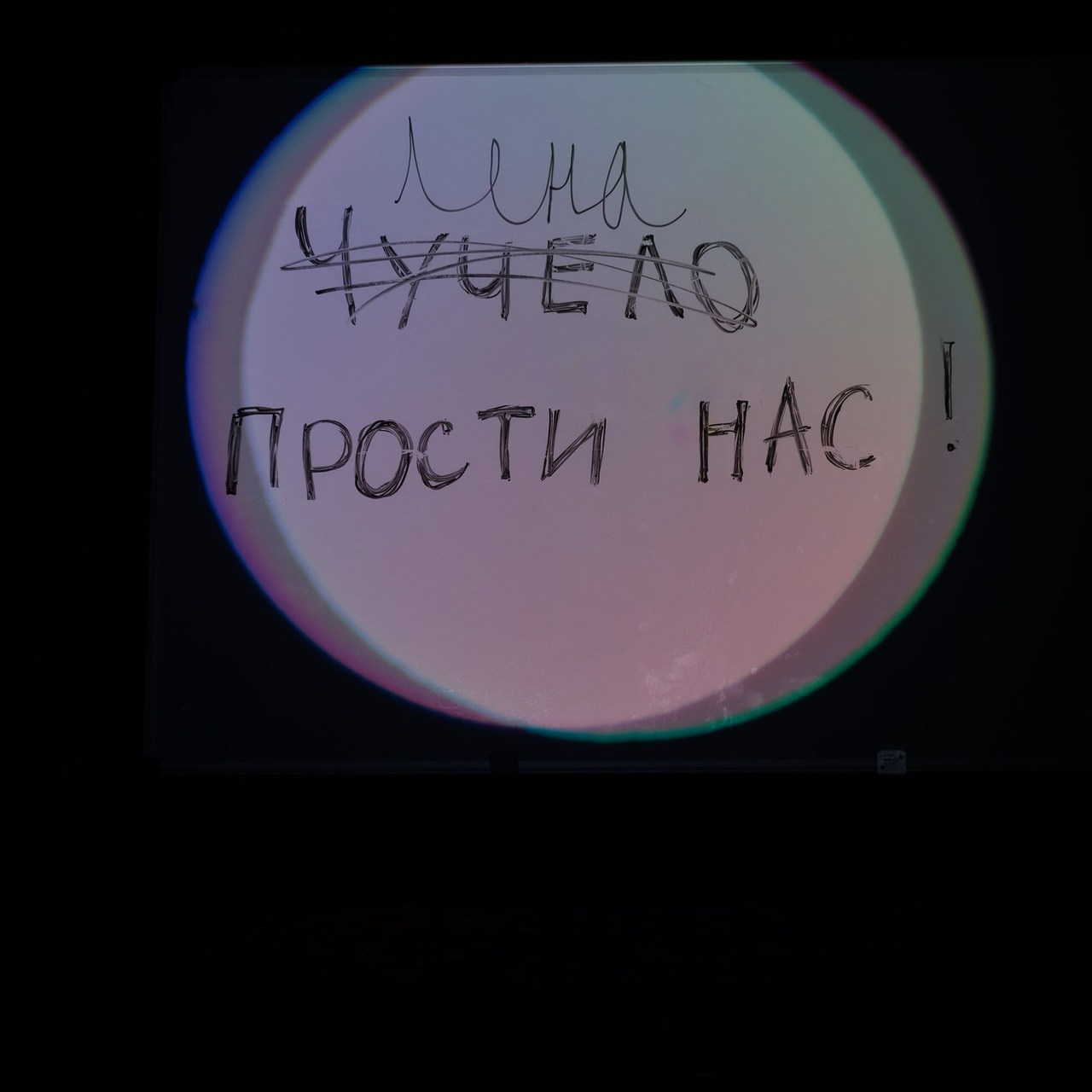 Comments. Wedding and family photographer Alex Glushakov