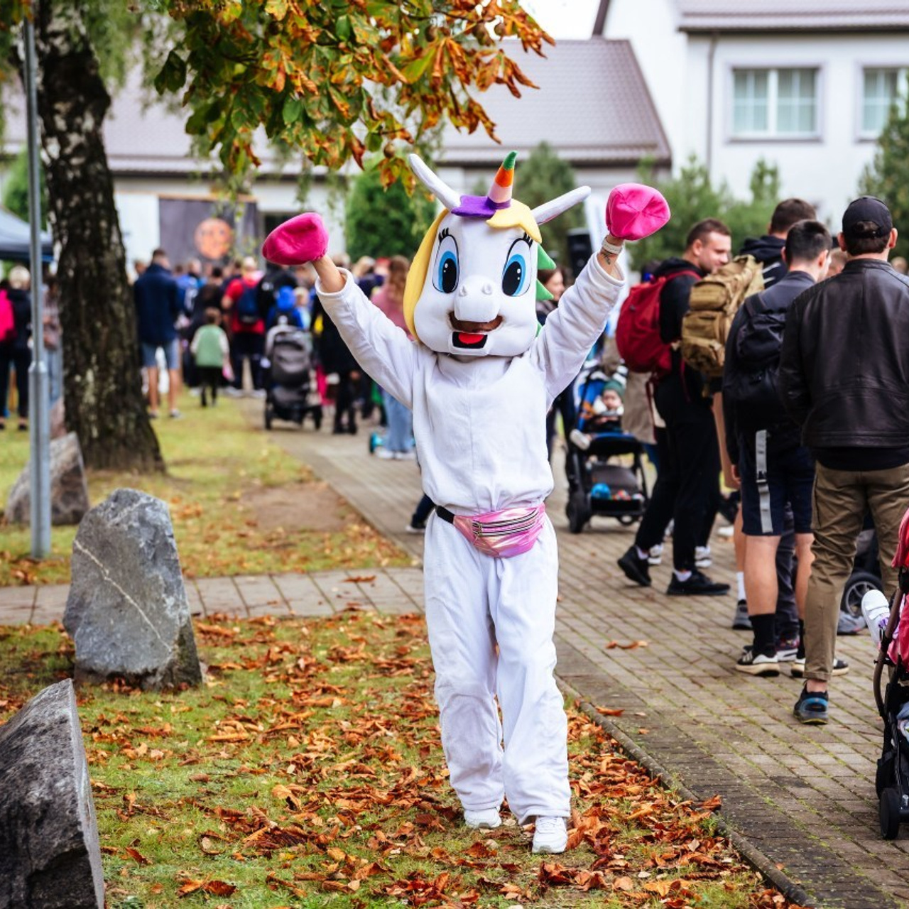 Atsiliepimai. OnePIXEL