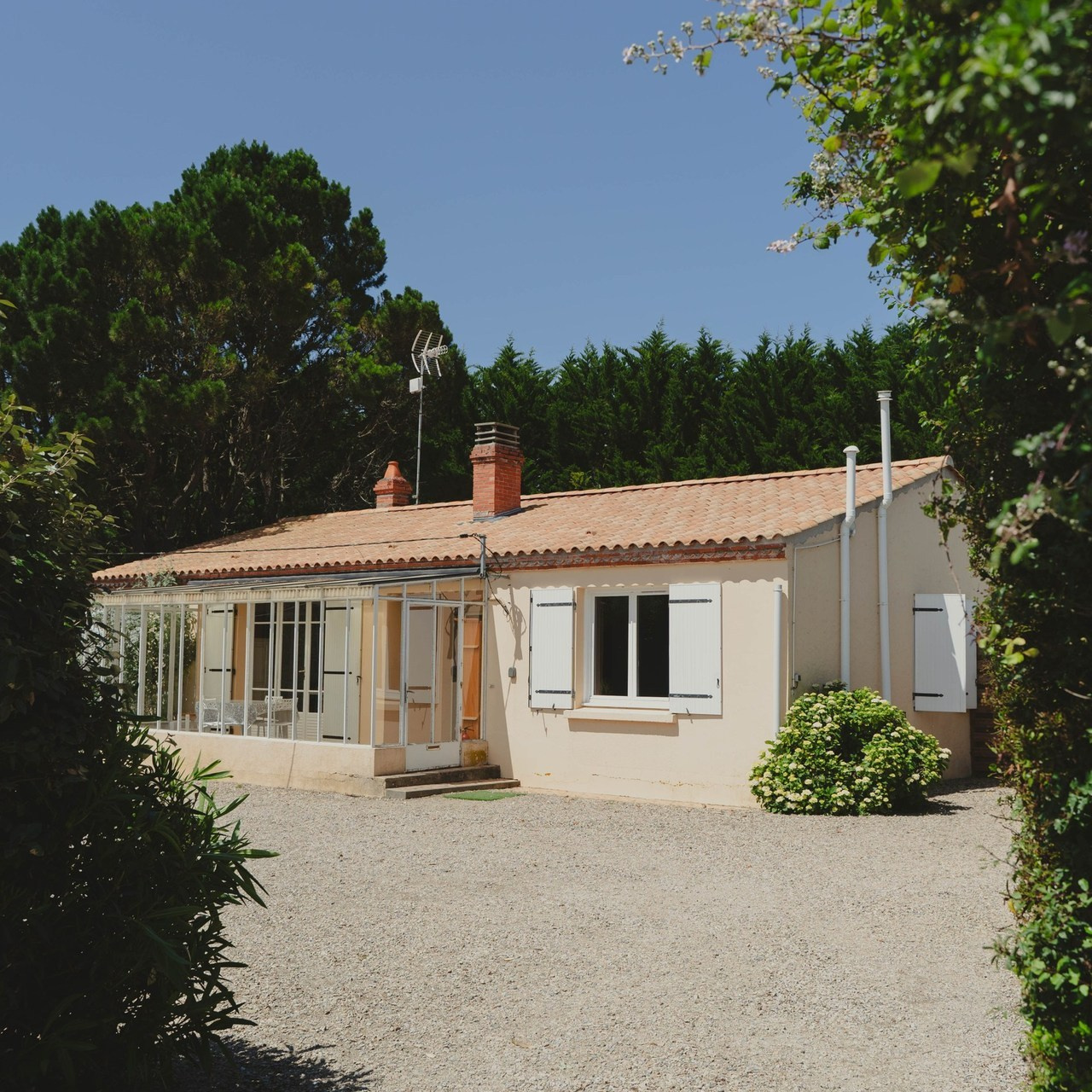 Témoignages. Weeding photographer / event / portrait