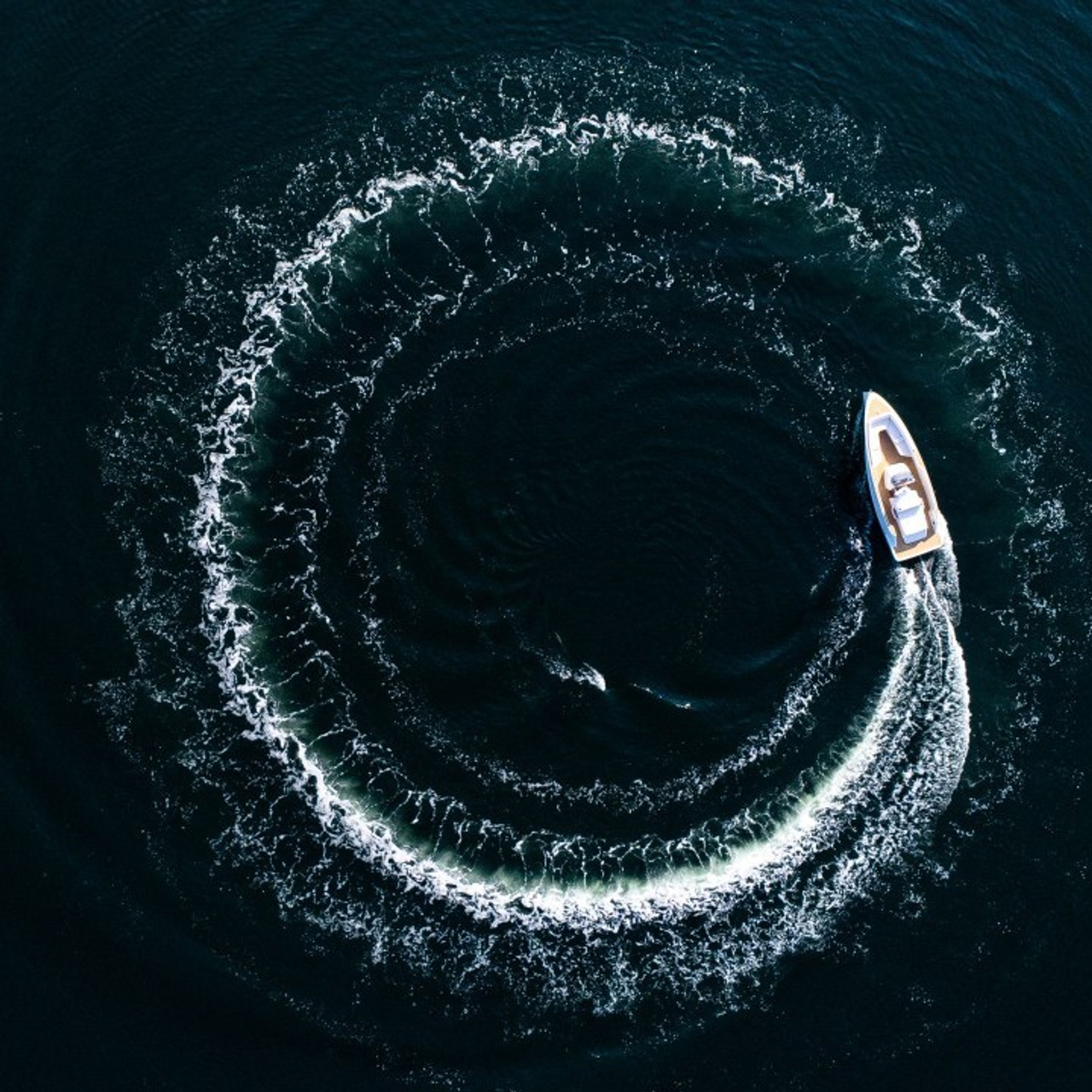 Testimonials. SeaYou.Agency | Nautical Media