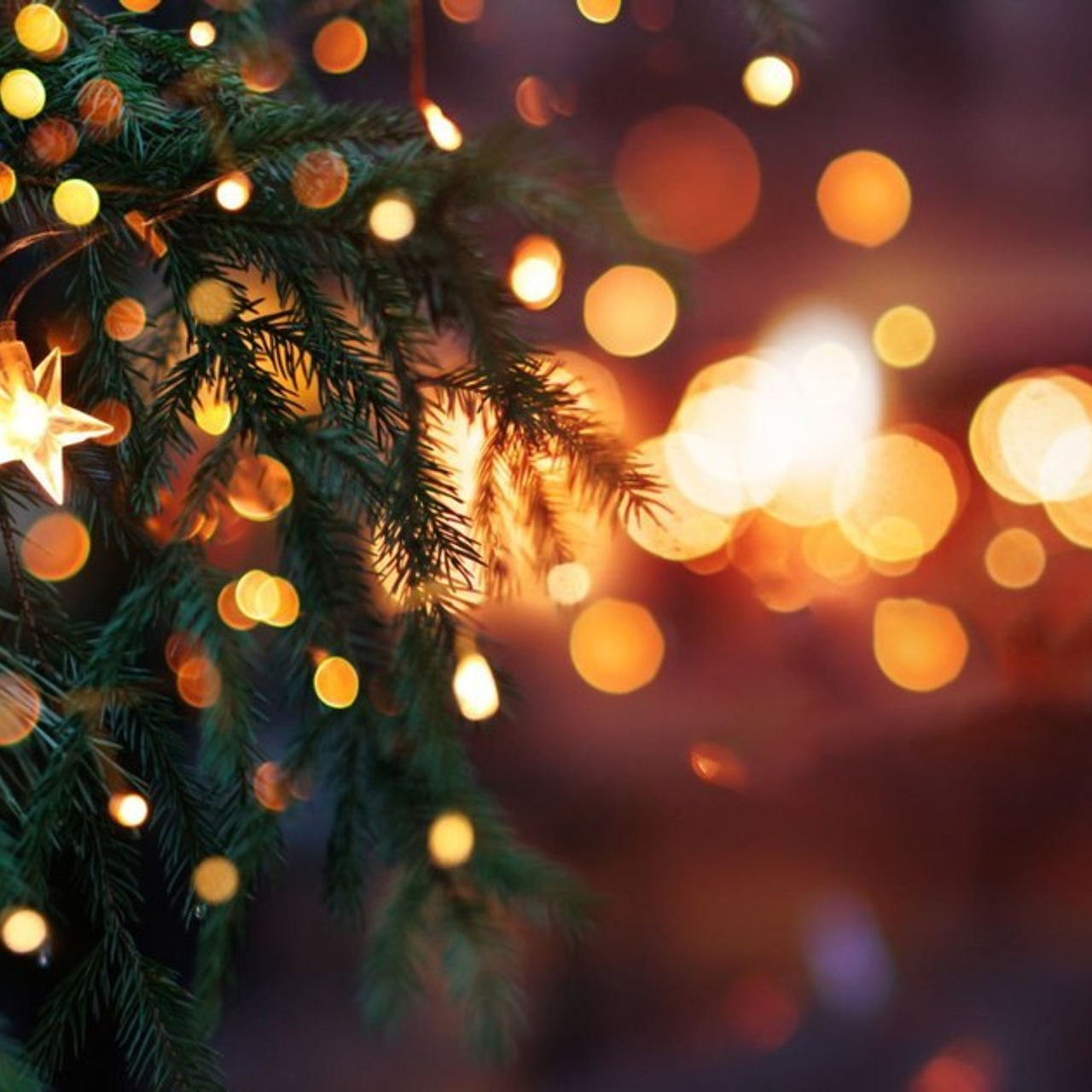 Utisci. Luka Pejcic Photography