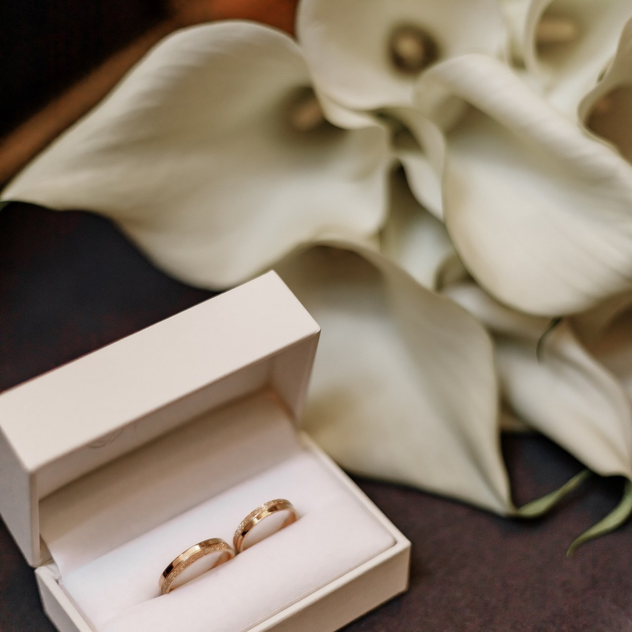 Bewertungen. Fotograf in Eckernförde (Deutschland) Ekaterina Alenina