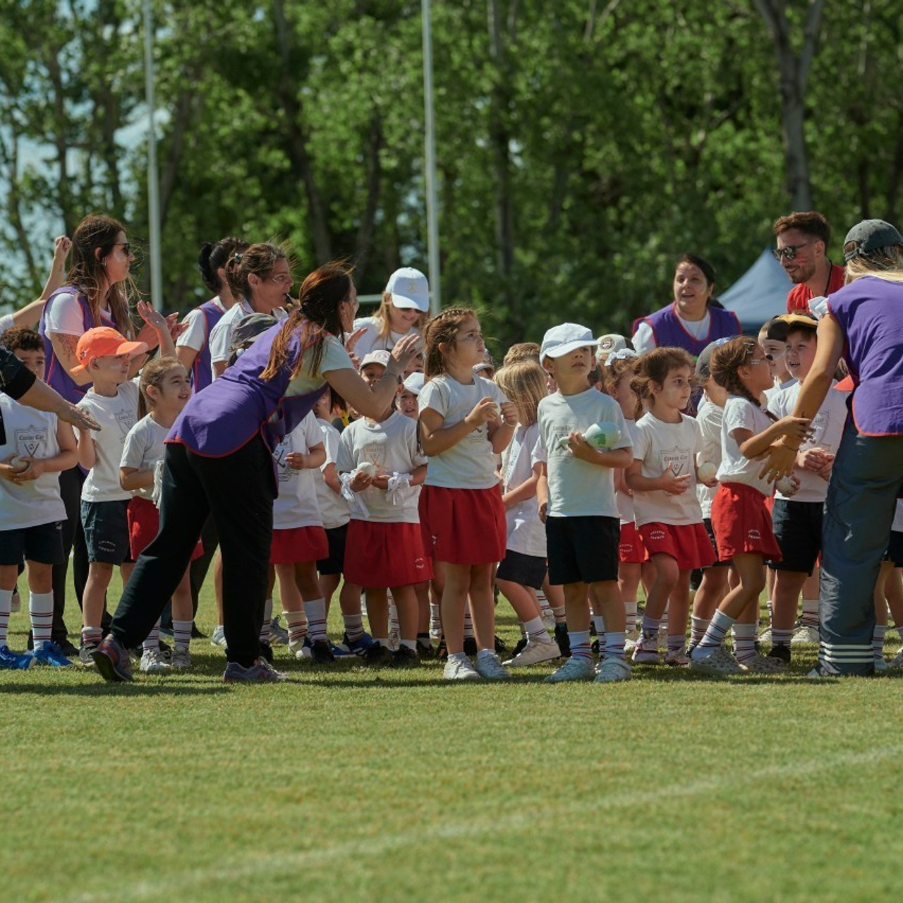 Testimonials. Nikitin Maxim — Showmetango