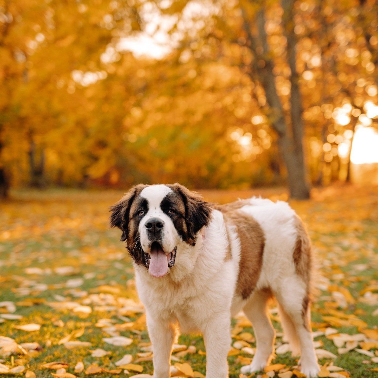 Atsauksmes. Fotogrāfe Līga Vaidere