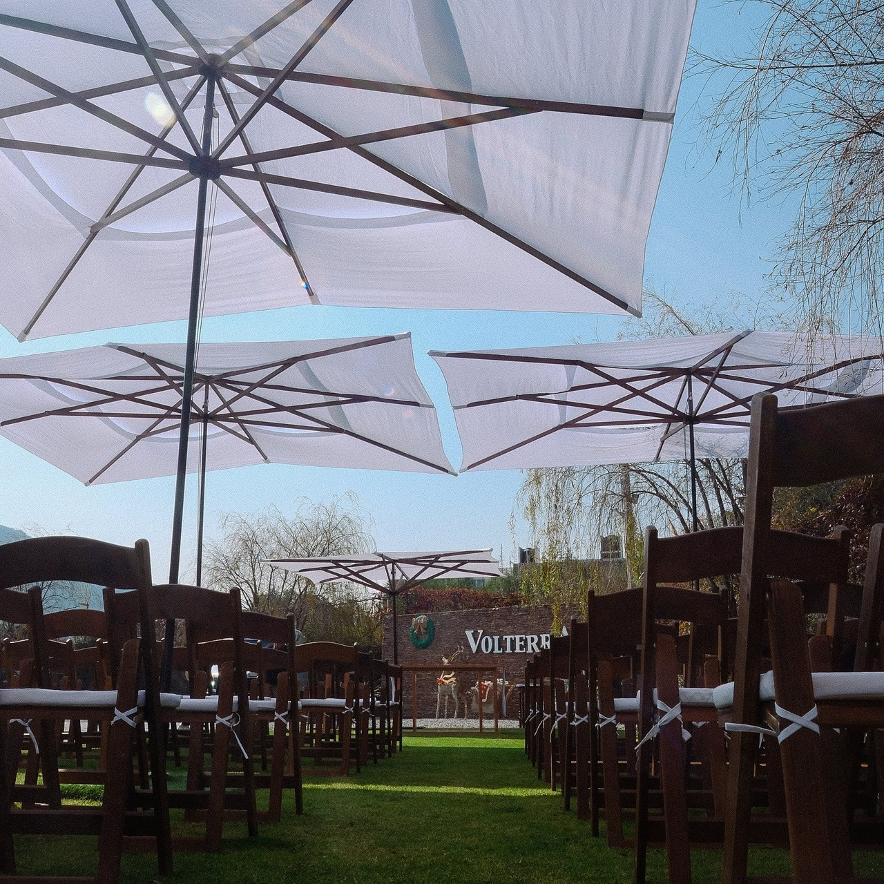 Testimonios. Wedding and family photographer in Mexico City