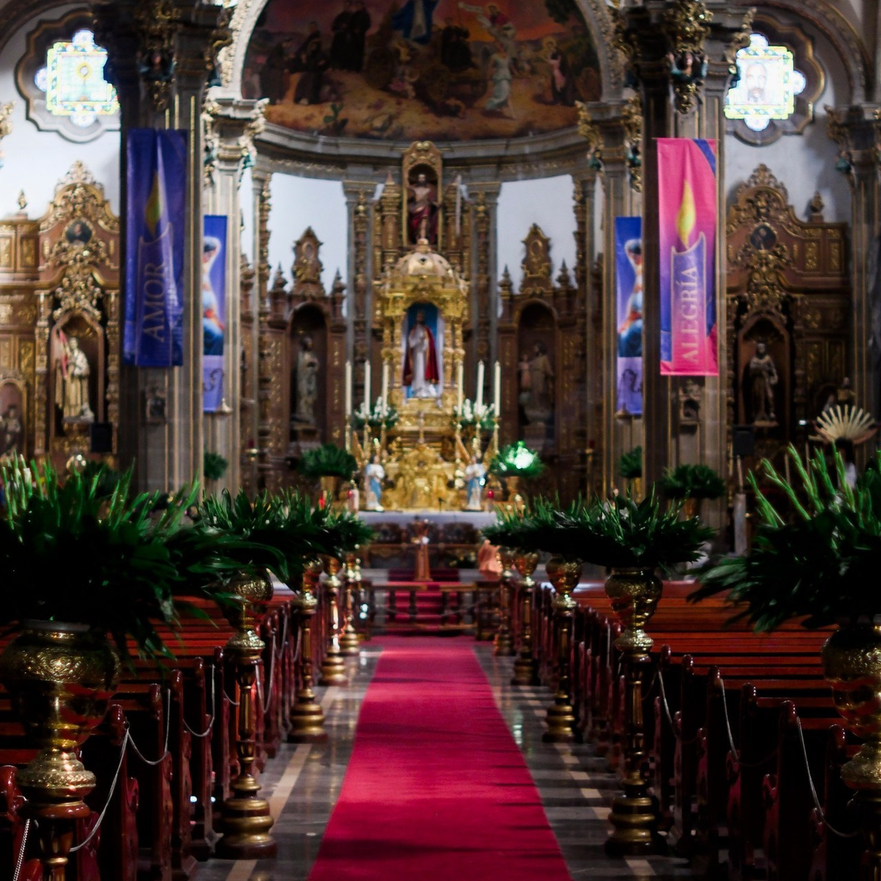 Testimonios. Wedding and family photographer in Mexico City