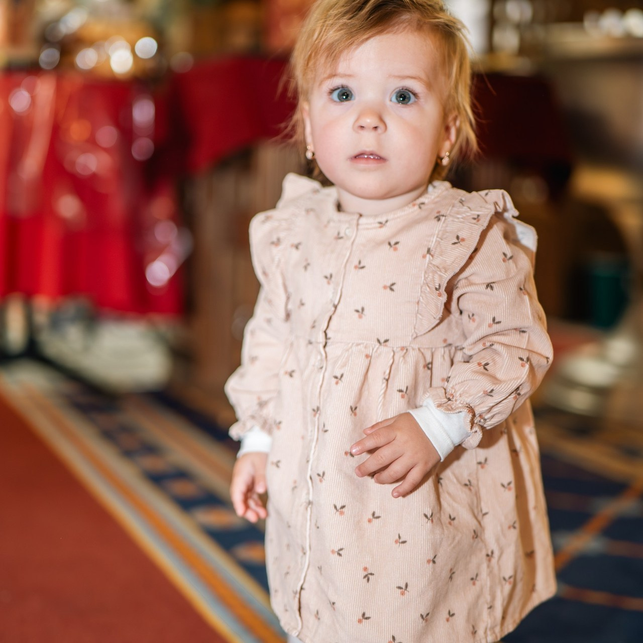 Recenzii/Comentarii. Fotograful și Cameramanul familiei dvs în Franța Paul Photographer