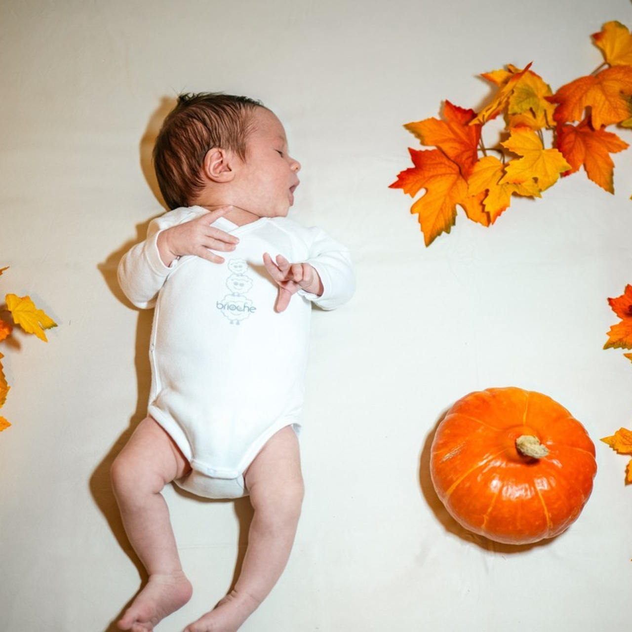 Recenzii/Comentarii. Fotograful și Cameramanul familiei dvs în Franța Paul Photographer