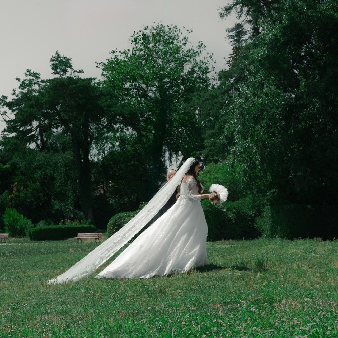 Avis. Photographe de Mariage
