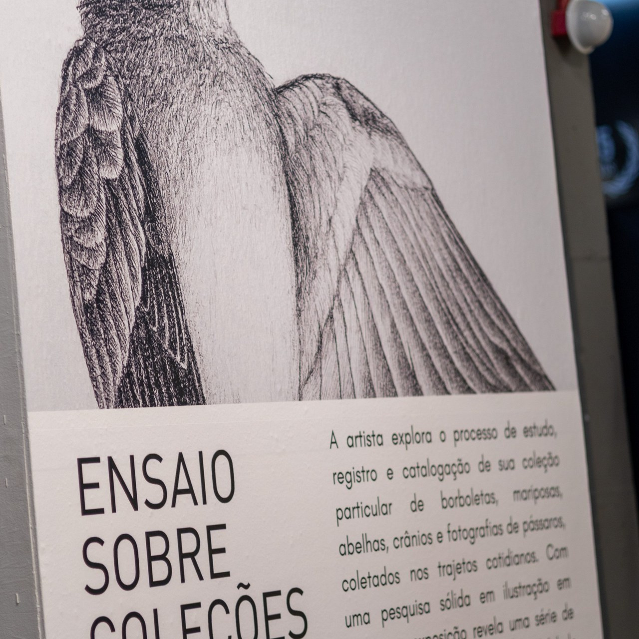 Avaliações. Fotógrafo Luan Hobold