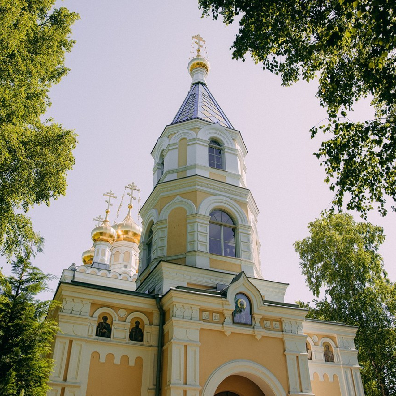 Feedback. Your photographer