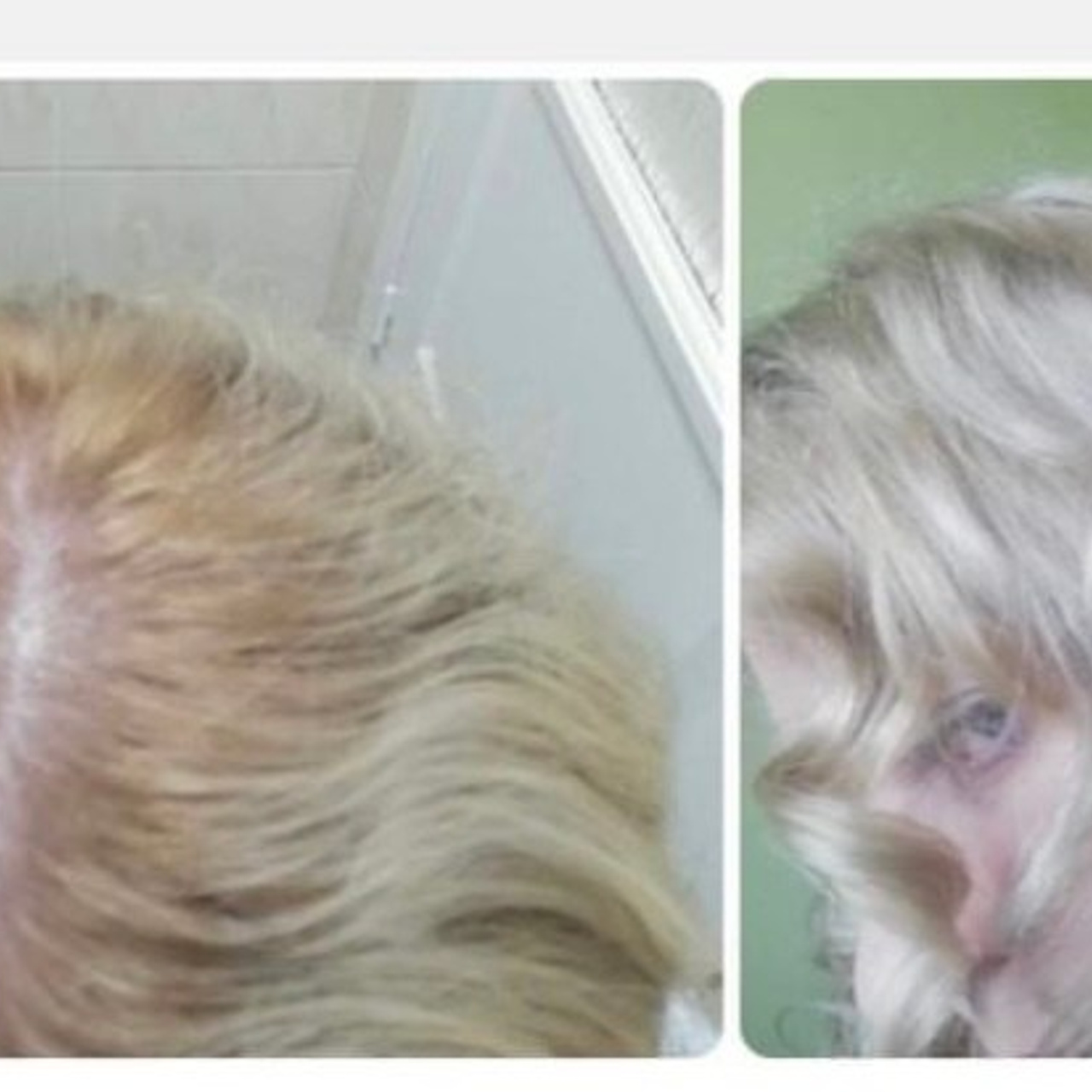 Opinie. Strona główna