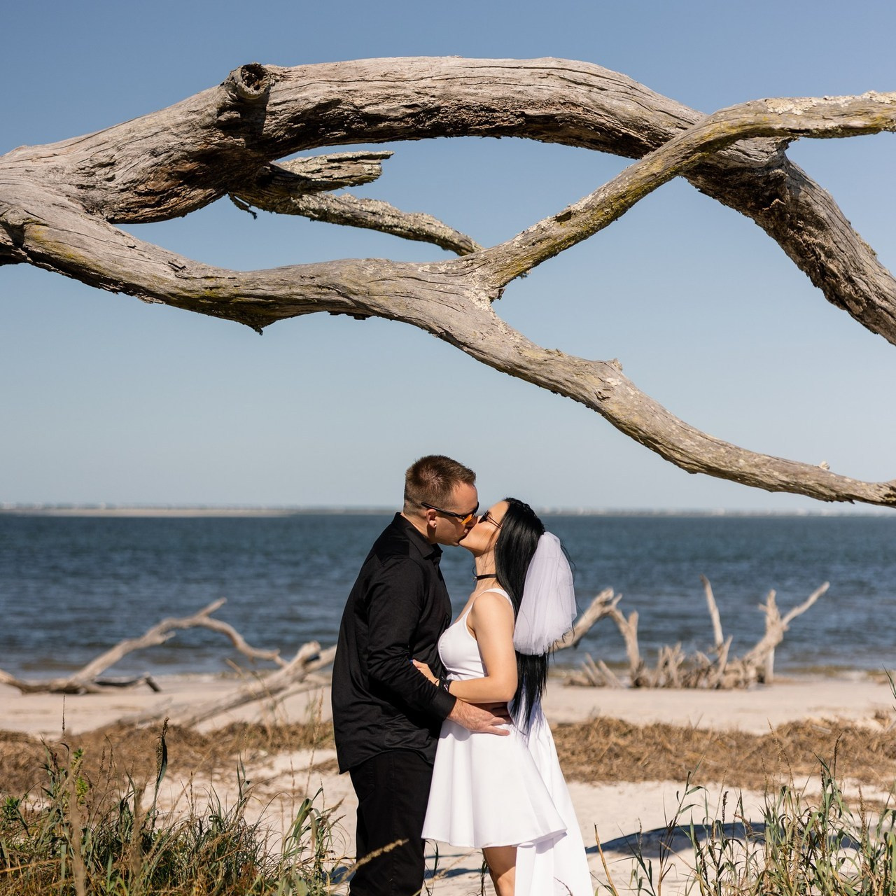 Reviews. Главная