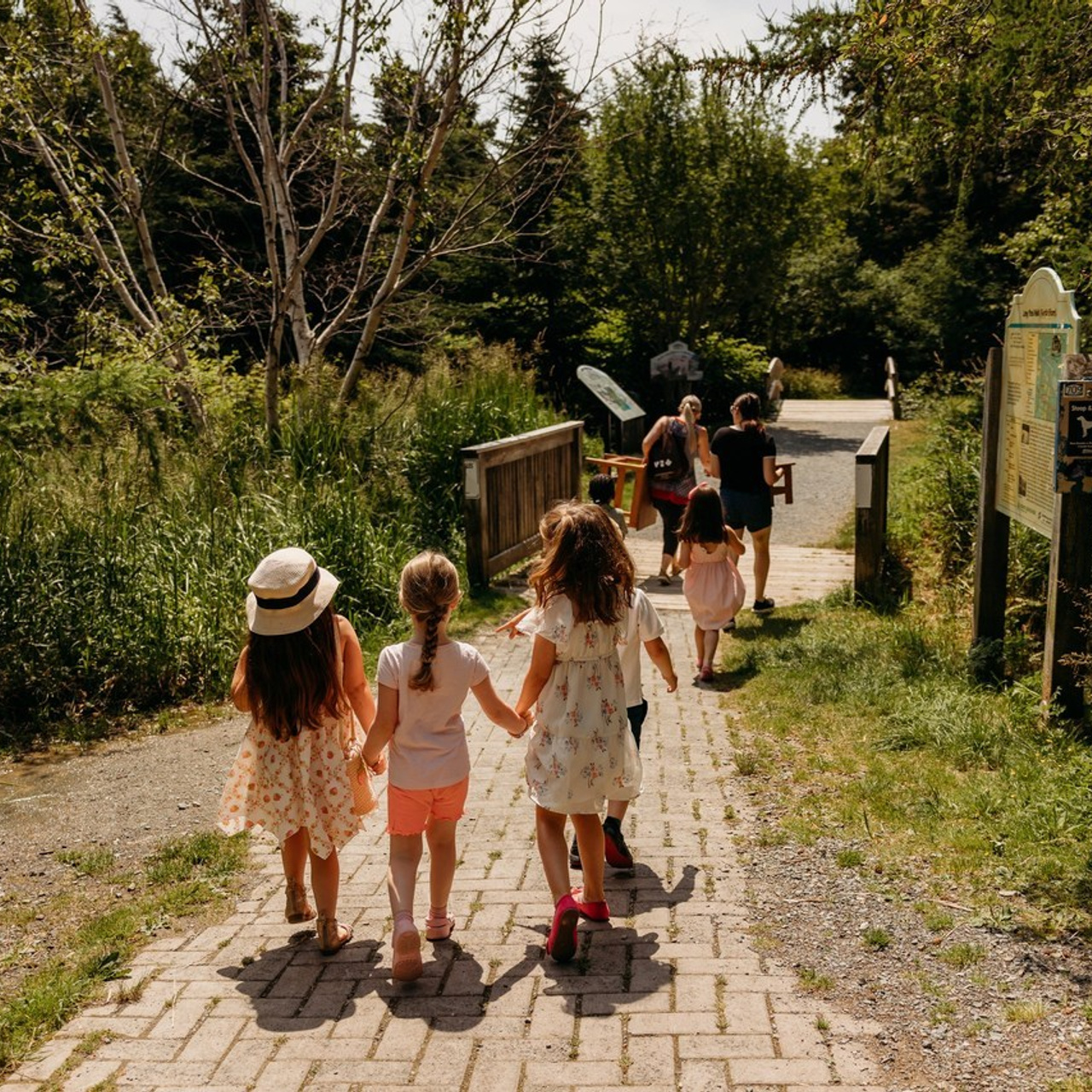 Feedback. Children’s and family photographer in St. John’s, NL | Marina Peliukh