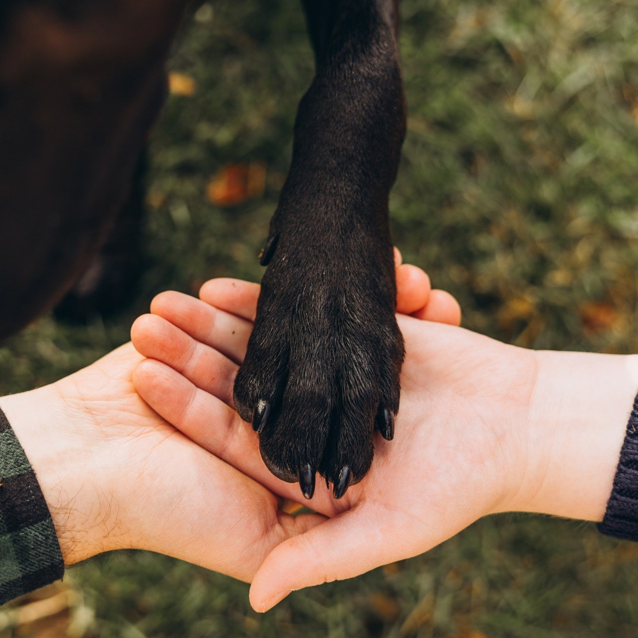 Feedback. Children’s and family photographer in St. John’s, NL | Marina Peliukh