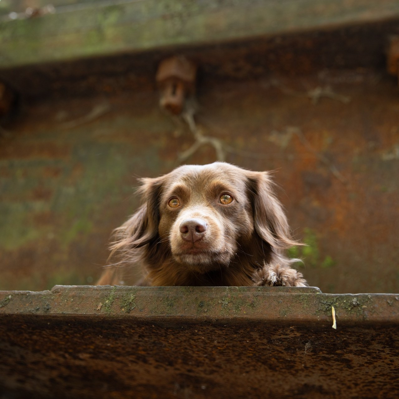 Kommentare. Familien und Hochzeitfotograf in Molbergen, Cloppenburg, Münsterland