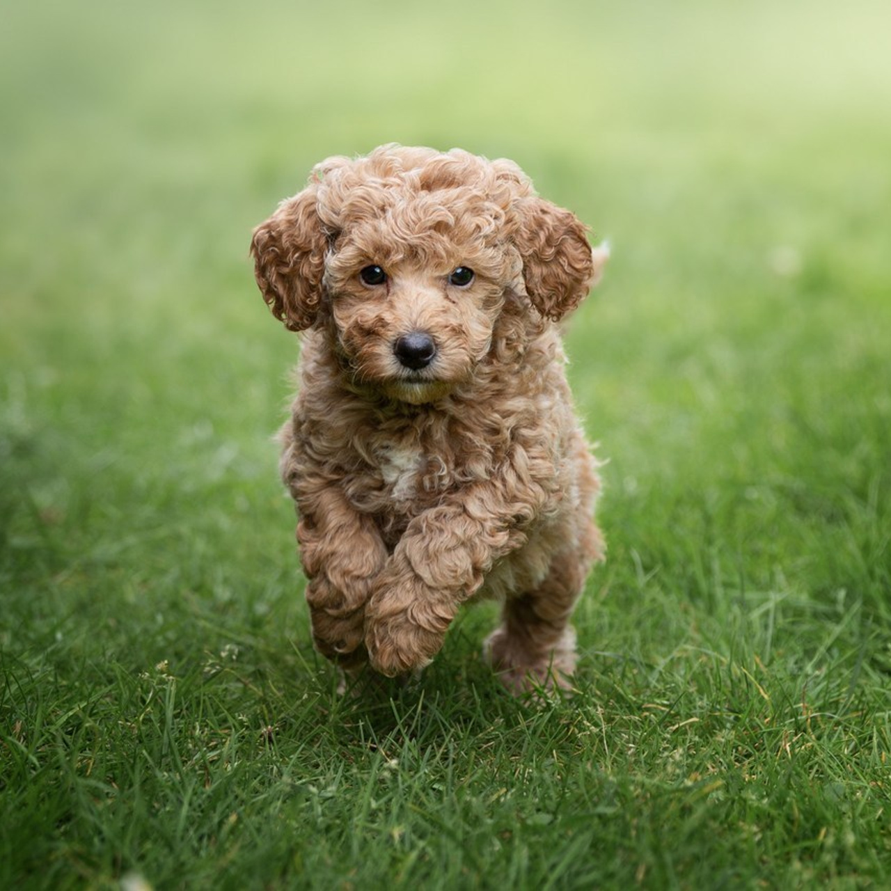 Kommentare. Familien und Hochzeitfotograf in Molbergen, Cloppenburg, Münsterland