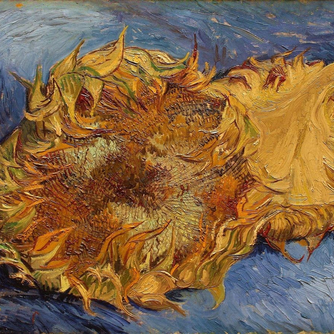 Бесплатные лекции о современном искусстве и уроки рисования. Методика 10×10 — обучение рисованию | Лени Сморагдова | Лондон, Тбилиси