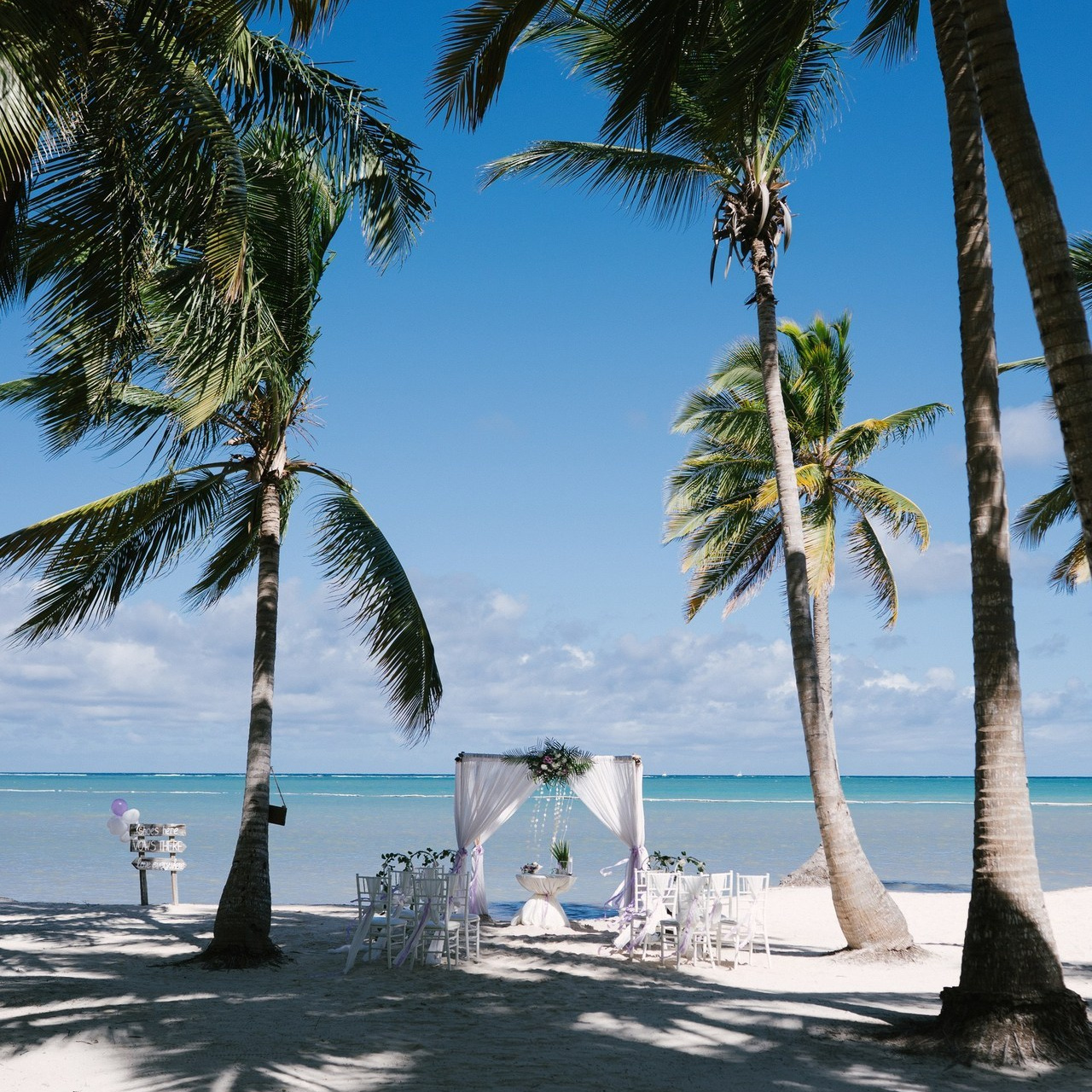 Testimonials. Punta cana wedding family fashion photographer dominican republic, destination wedding photographer, elopement photography Punta Cana