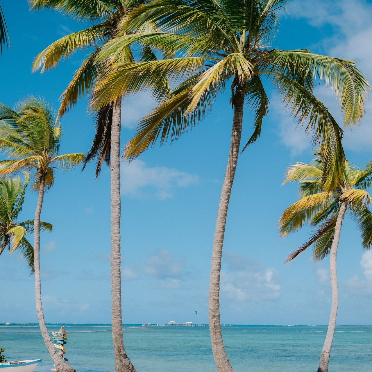 Testimonials. Punta cana wedding family fashion photographer dominican republic, destination wedding photographer, elopement photography Punta Cana