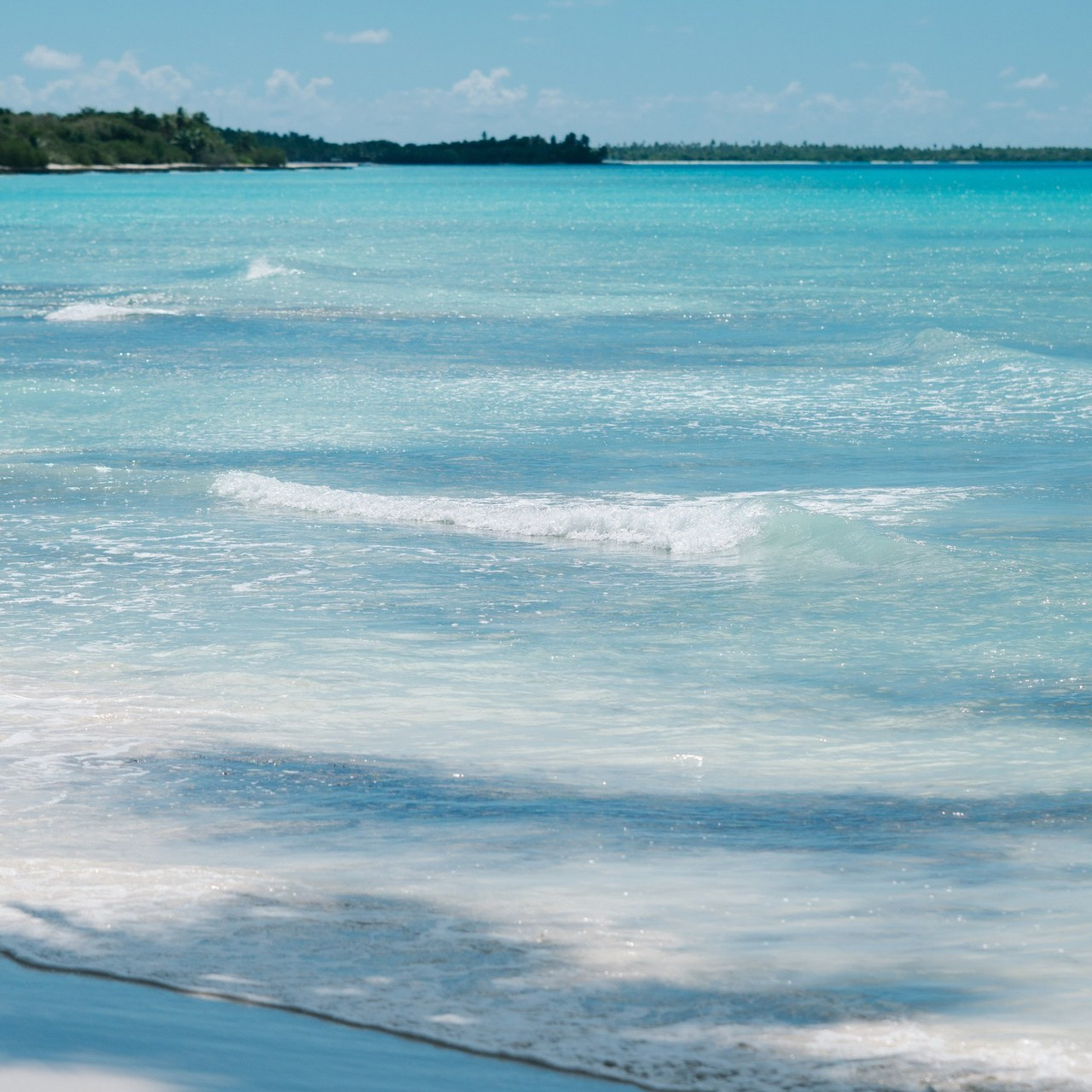 Testimonials. Punta cana wedding family fashion photographer dominican republic, destination wedding photographer, elopement photography Punta Cana