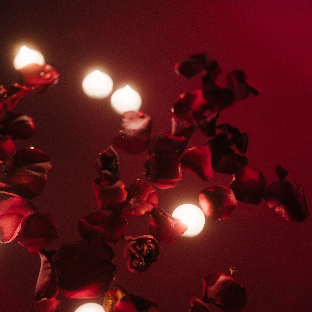 Testimonials. Punta cana wedding family fashion photographer dominican republic, destination wedding photographer, elopement photography Punta Cana