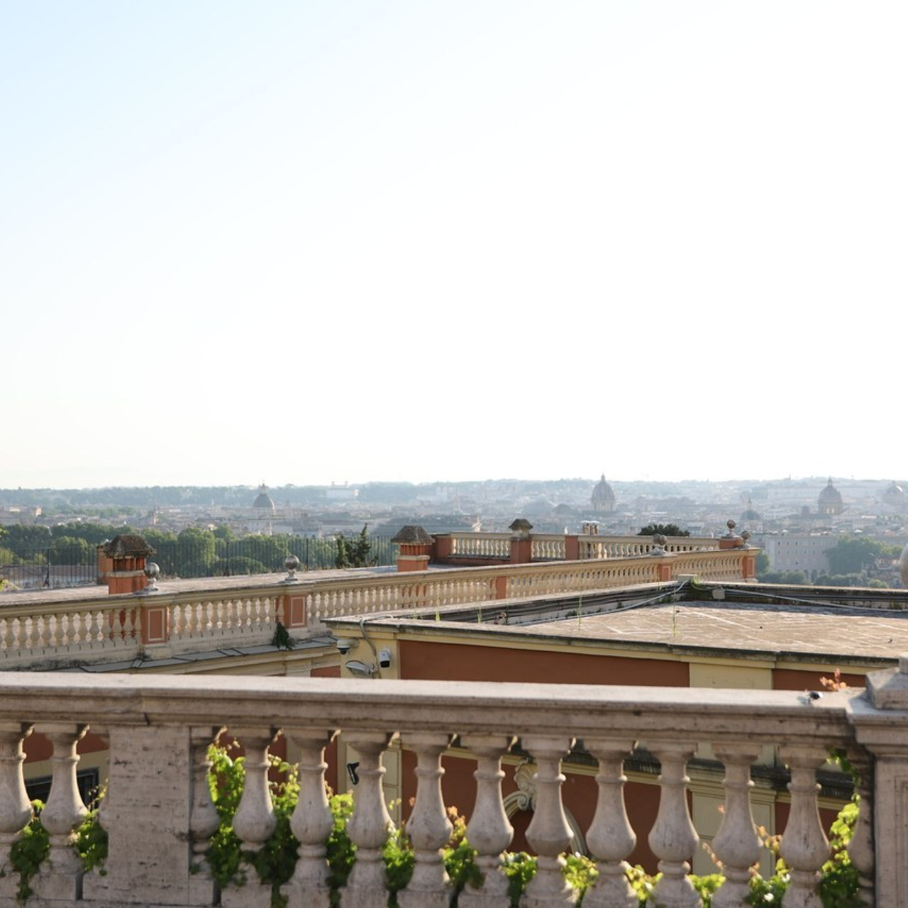 Testimonials. Irum.foto