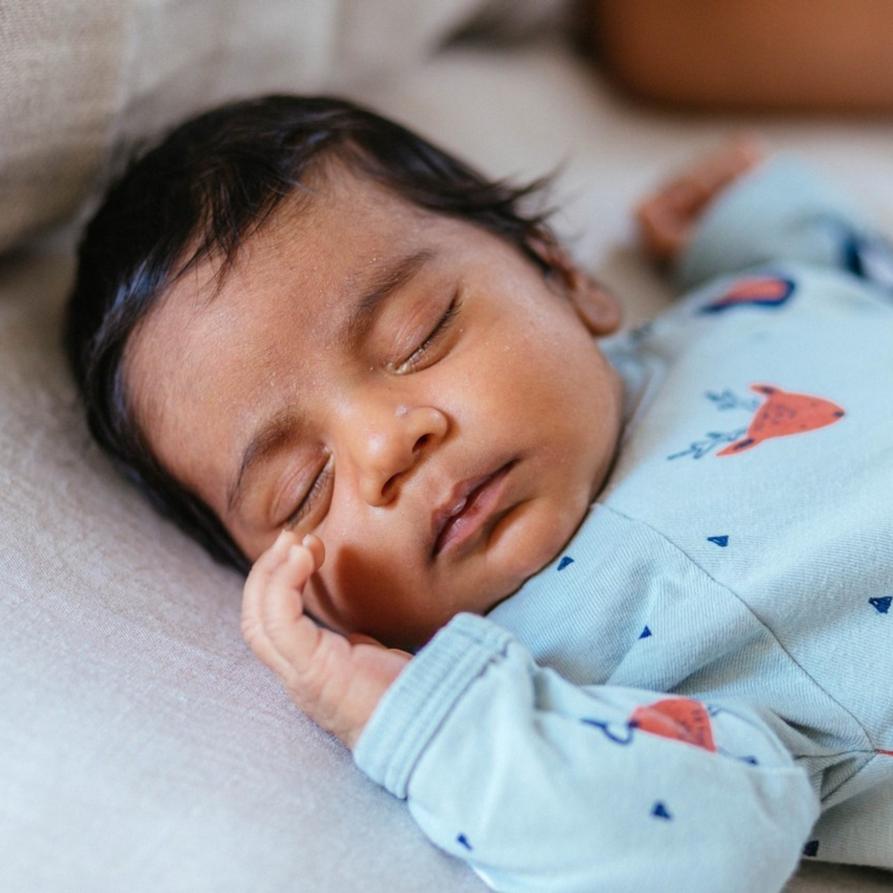 Reviews. Portrait family photographer in Berlin Elena Zakh