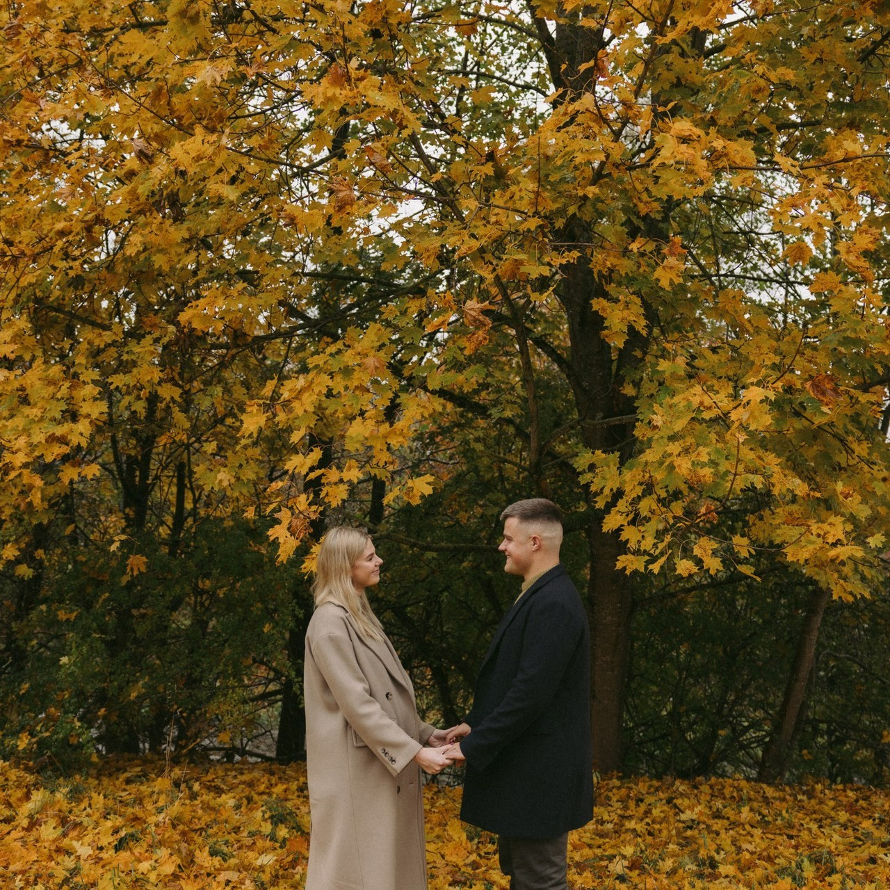 Atsiliepimai. Vestuvių ir šeimų fotografė Lena Bondarenko / belove photo