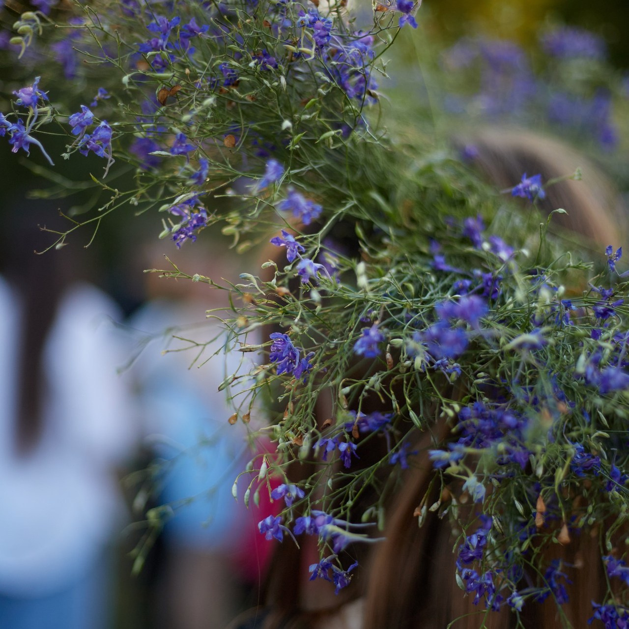 Отзывы. Выпускные альбомы