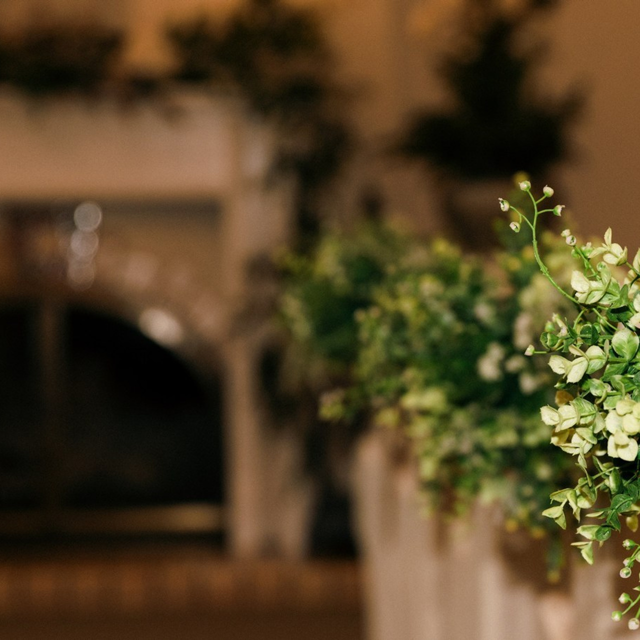 Wedding photographer Michigan. Anastasia Post: Wedding and Editorial Photography