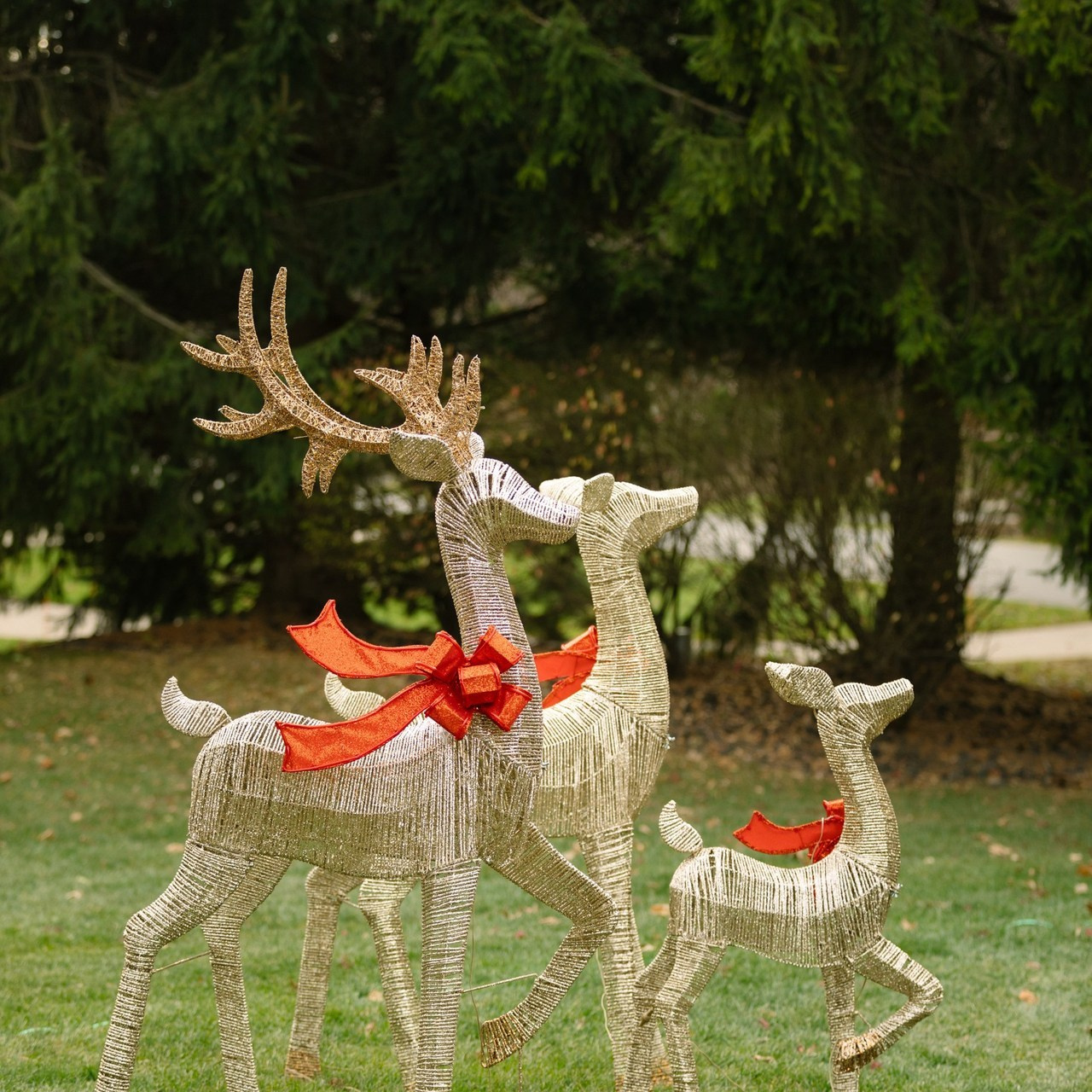 Wedding photographer Michigan. Anastasia Post: Wedding and Editorial Photography