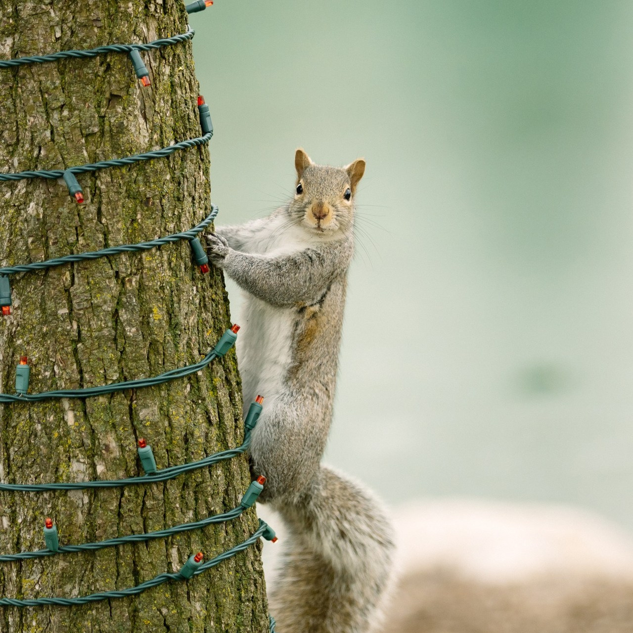 Wedding photographer Michigan. Anastasia Post: Wedding and Editorial Photography
