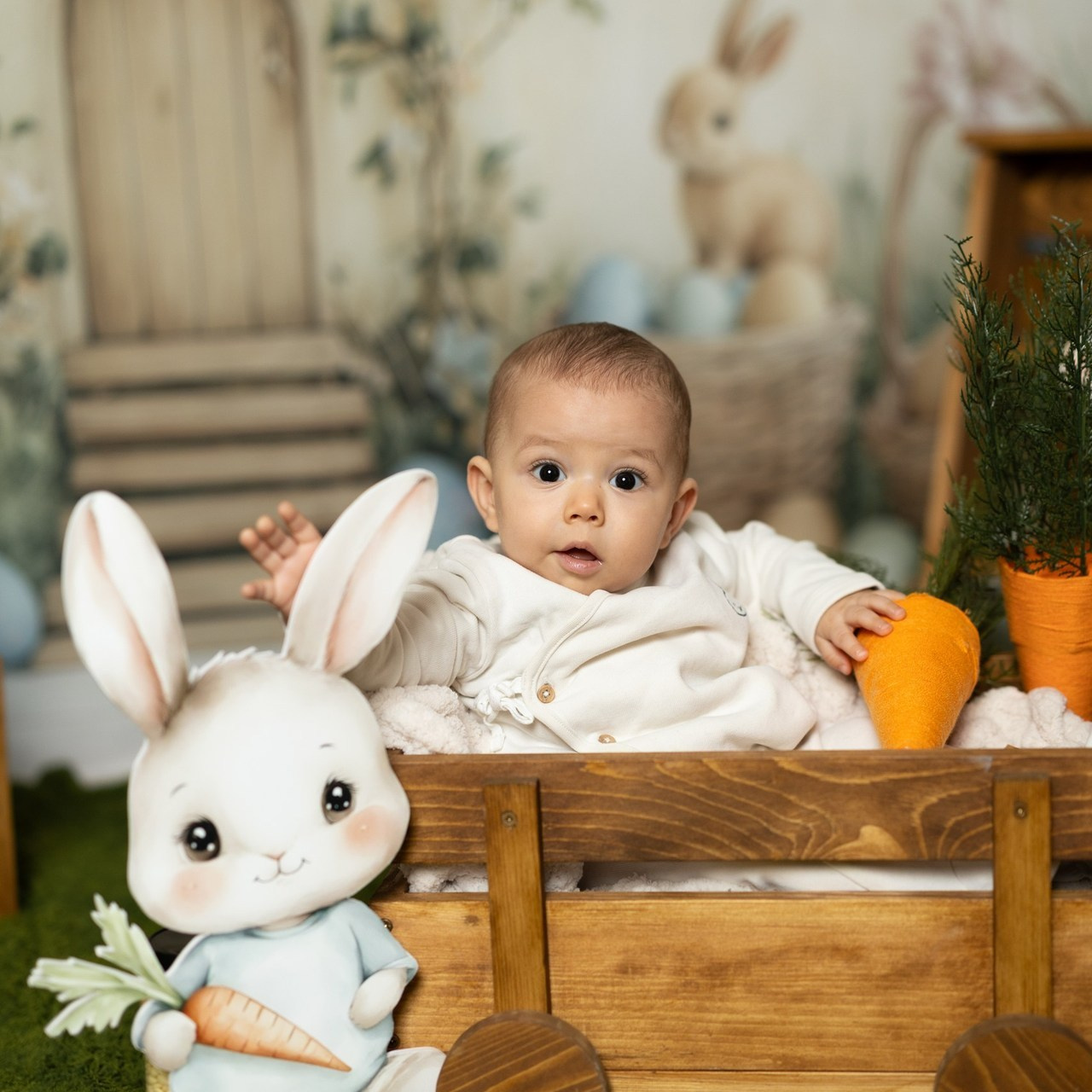 Feedback. Novorođenčad, Trudnice i Porodični fotogaf u Beču i Požarevcu Mihajlo Stević