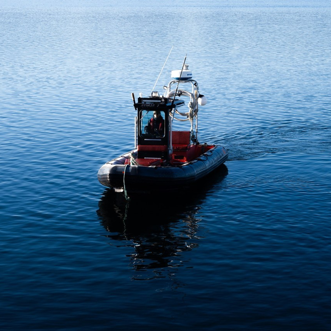 Client Reviews | Artparadox Photography. Courtenay, BC Photographer | Comox Valley | artparadoXsnapforge