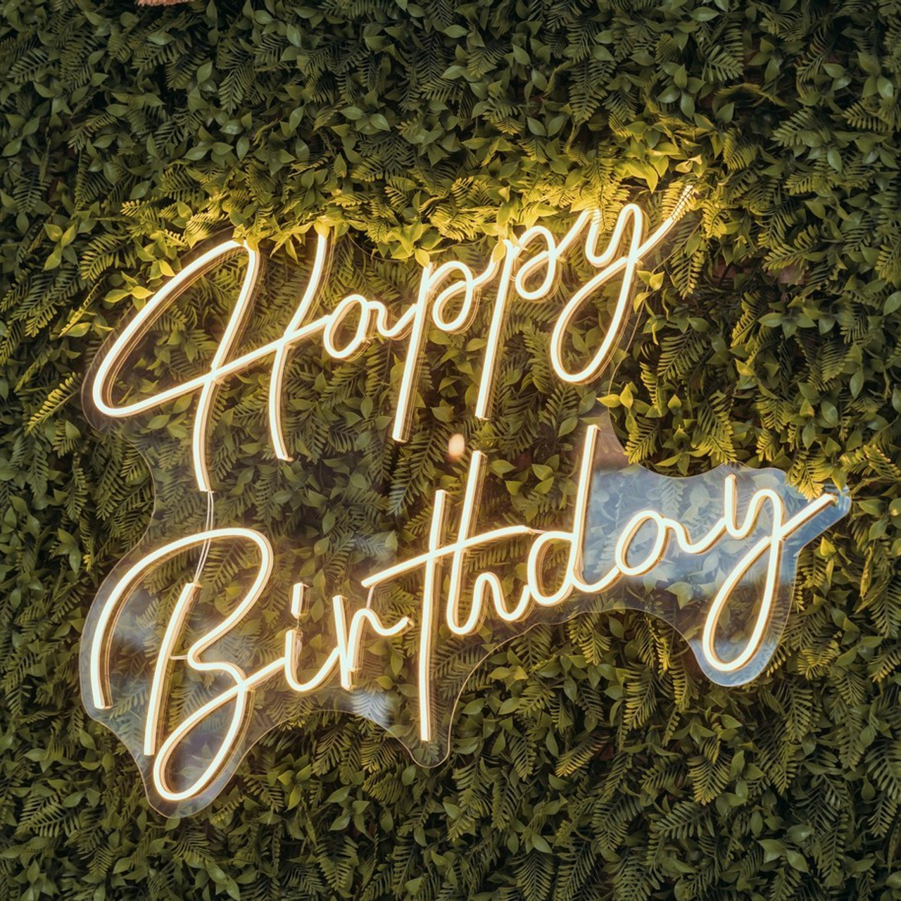 RECENZIJE. DEČIJI FOTOGRAF BEOGRAD|NOVOGODISNJE FOTOGRAFISANJE|CAKE SMASH