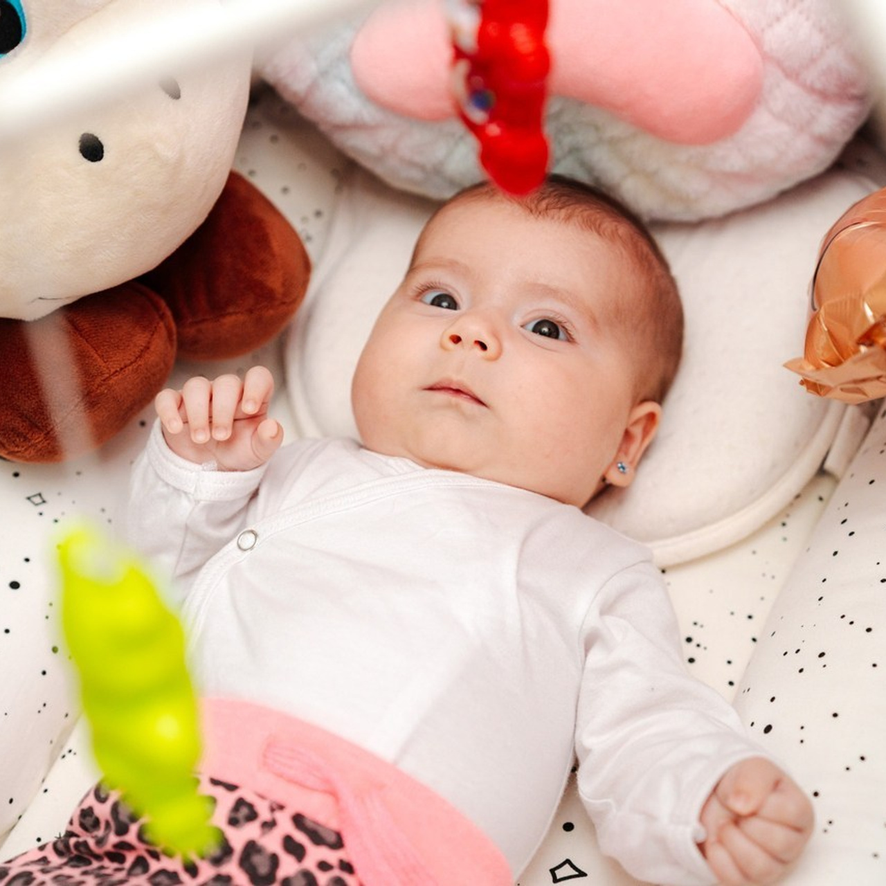 Ionut Cimpoes FOTOGRAF