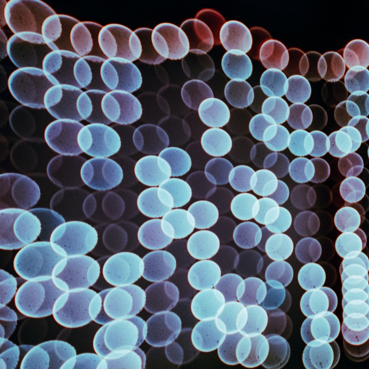 Reviews. Sandra Garanca Portrait and event photographer