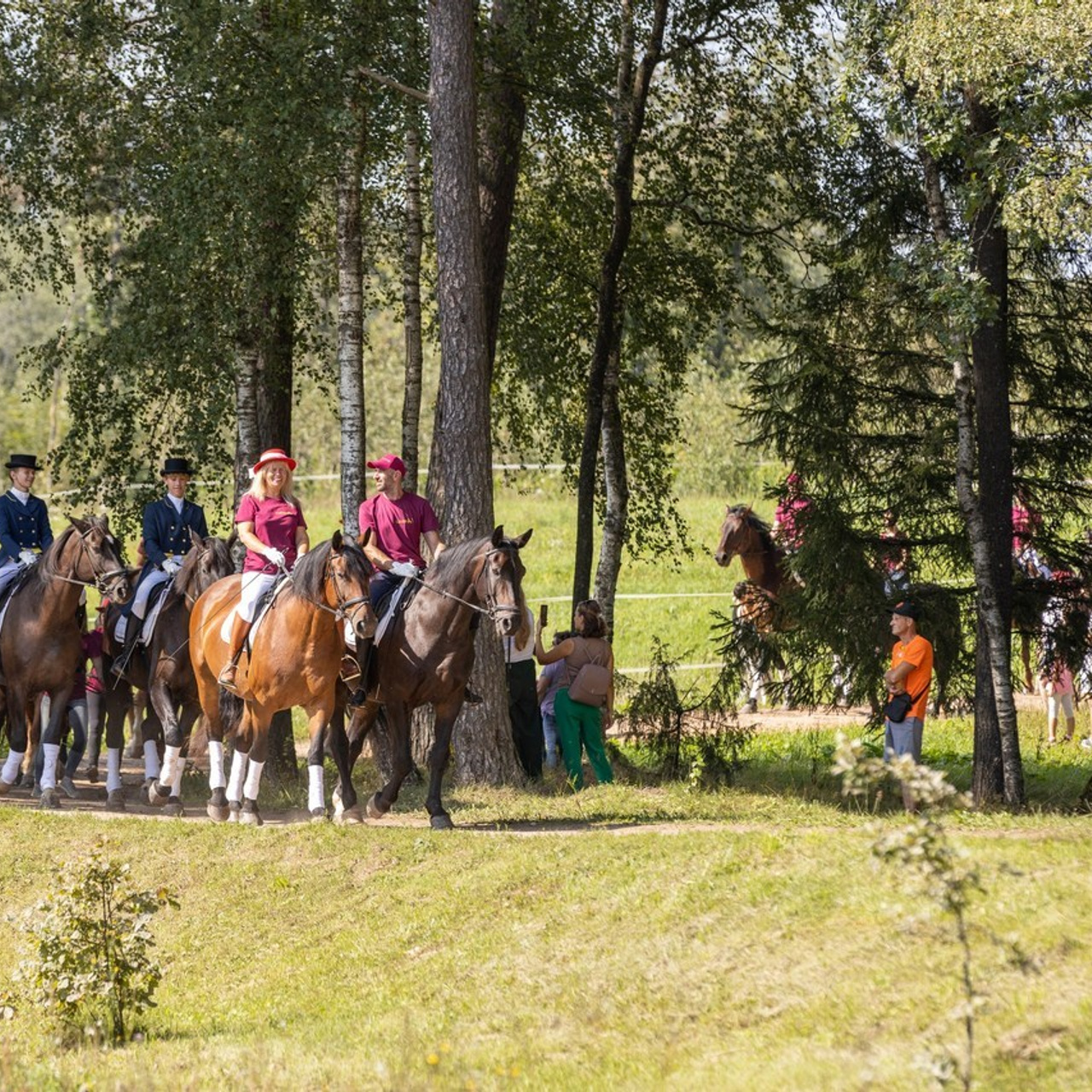 Atsauksmes. FOTOGRĀFS| LATVIJA |DAUGAVPILS|