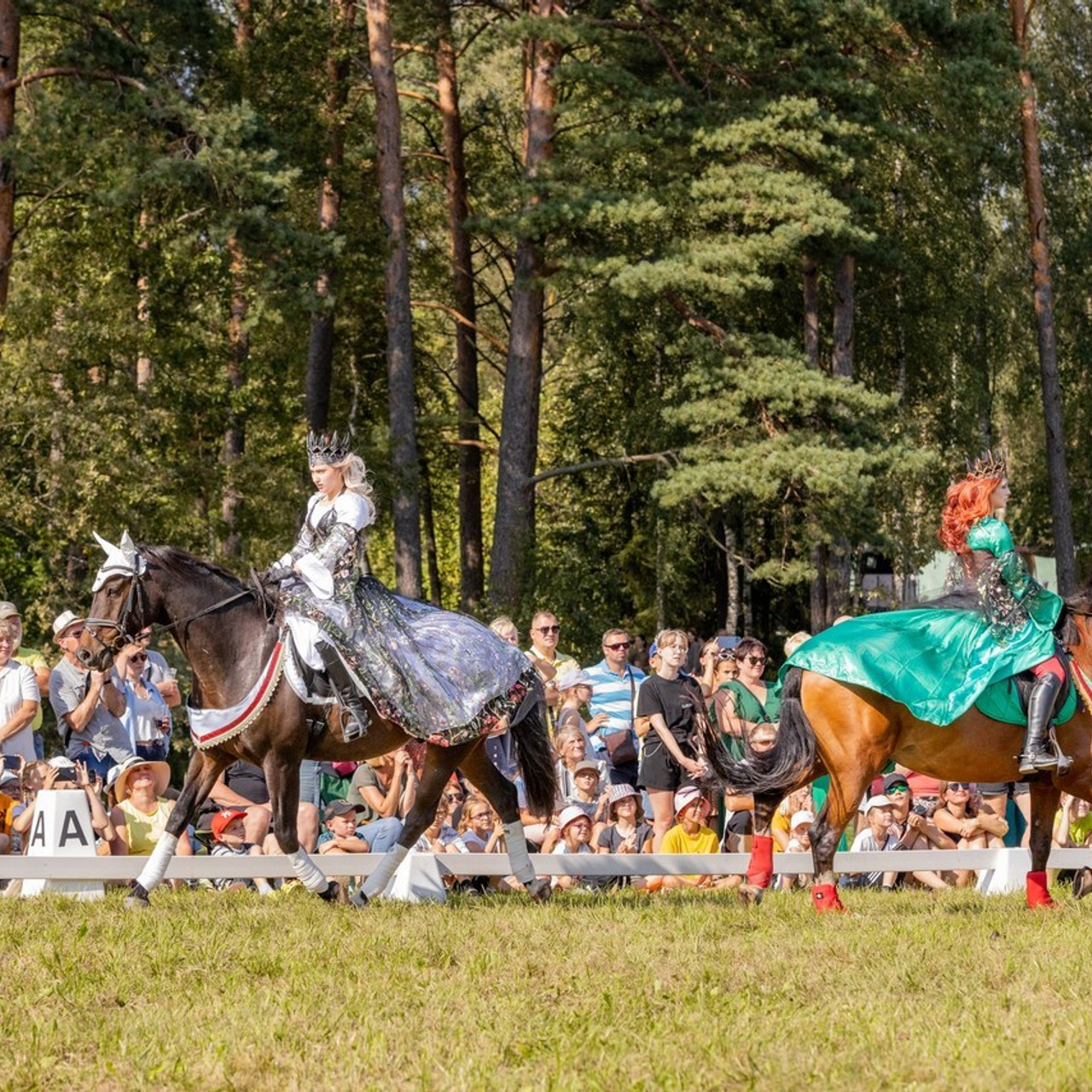 Atsauksmes. FOTOGRĀFS| LATVIJA |DAUGAVPILS|