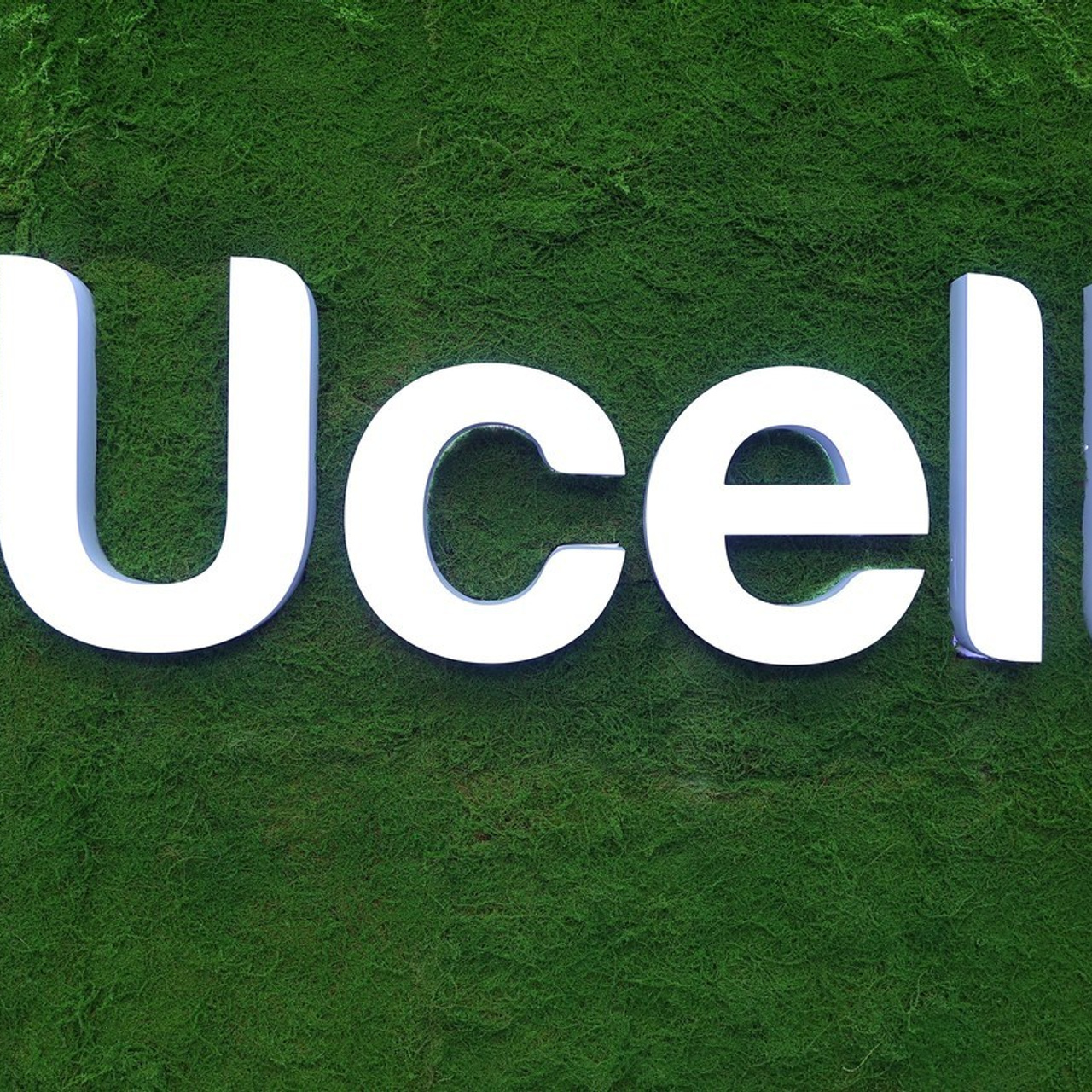 Отзывы. Профессиональная Фото-Видео Студия Геннадия Нестеренко | Ташкент и Весь Узбекистан