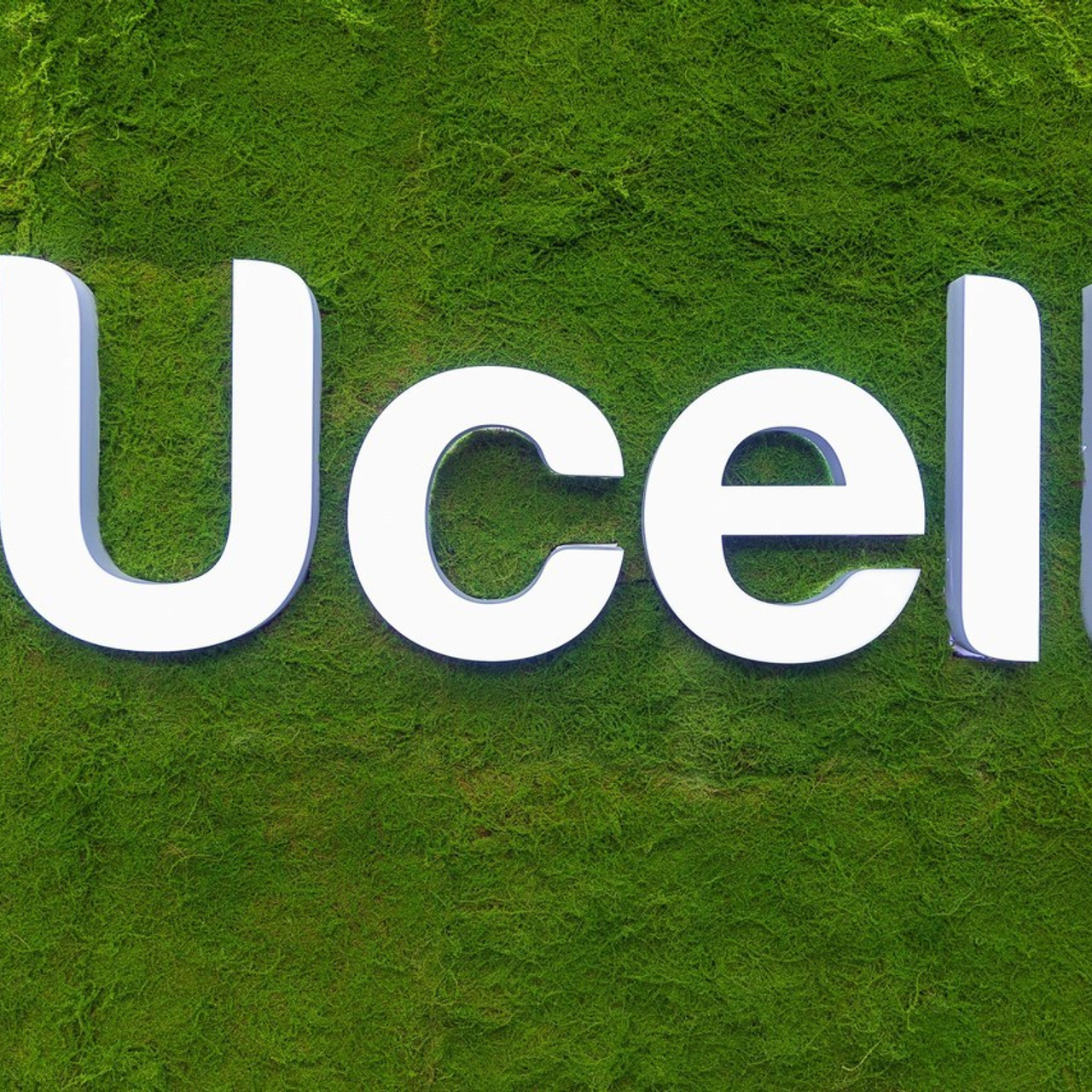 Отзывы. Профессиональная Фото-Видео Студия Геннадия Нестеренко | Ташкент и Весь Узбекистан