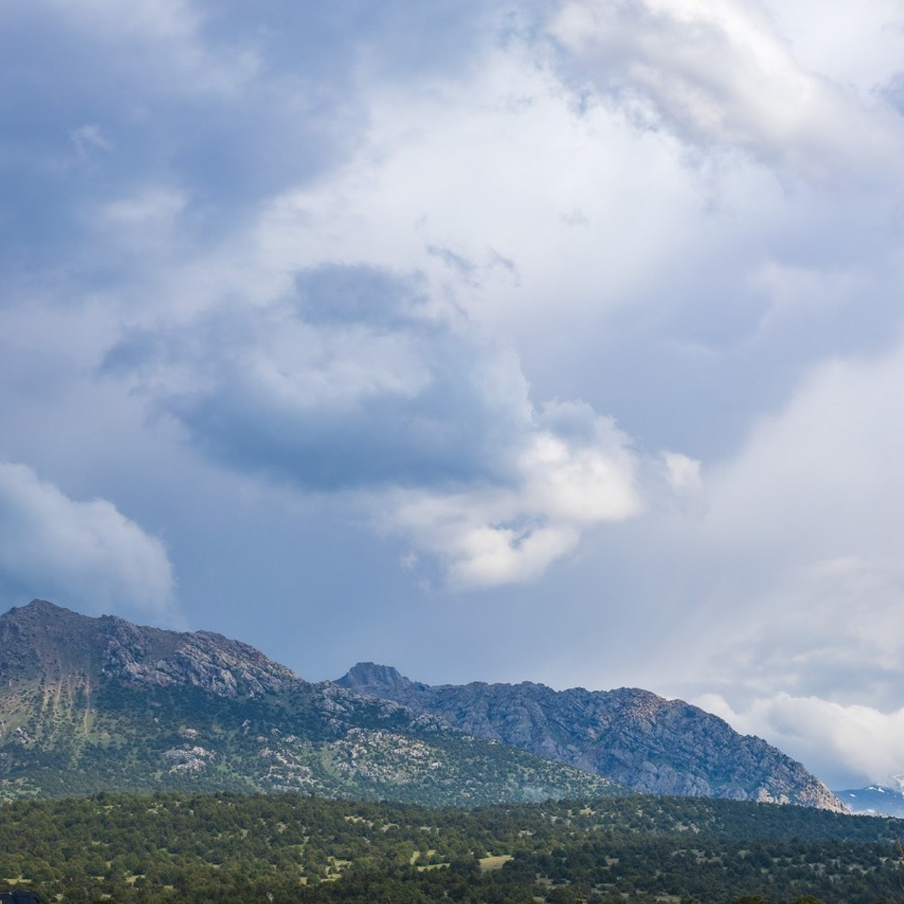 Отзывы. Профессиональная Фото-Видео Студия Геннадия Нестеренко | Ташкент и Весь Узбекистан