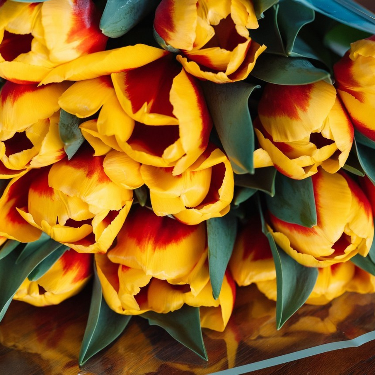 Отзывы. Фотограф в Ереване Карина Тоноян