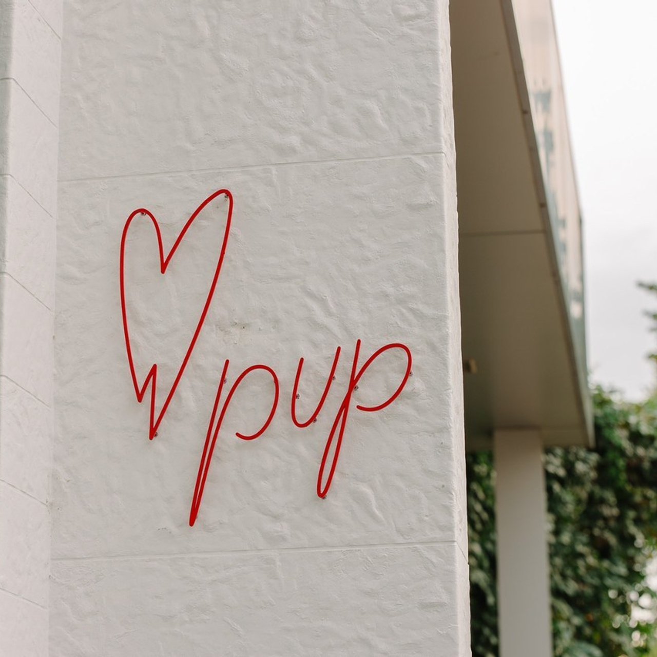 Отзывы. Семейный фотограф в Кишинёве THOMAS SHTIFT