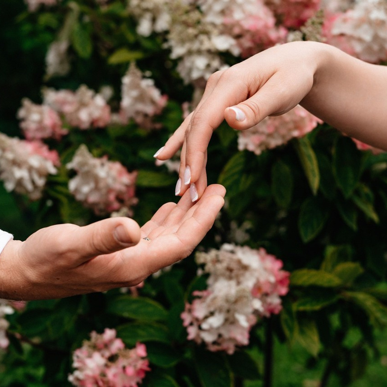 Отзывы. Свадебный и портретный фотограф Юлия Пыльченко