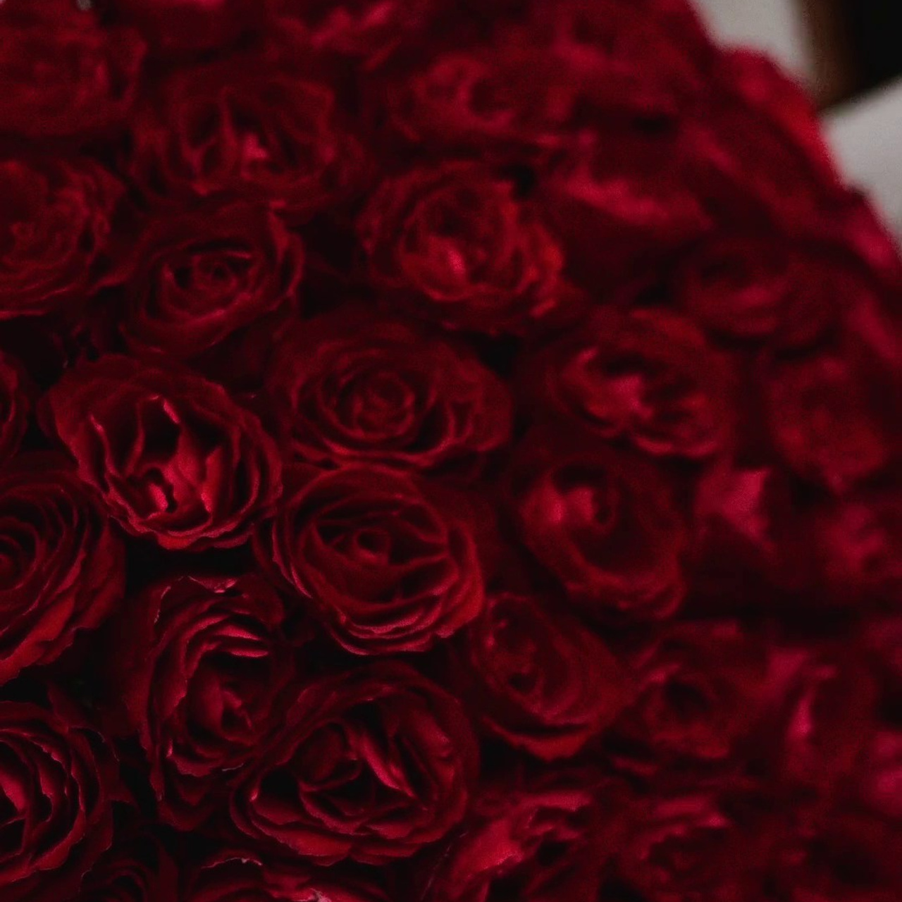 Отзывы. Свадебный и портретный фотограф Юлия Пыльченко